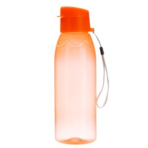 Squeeze Plástica 700ml